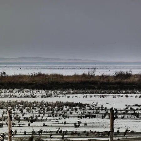 Strand Neuharlingersiel