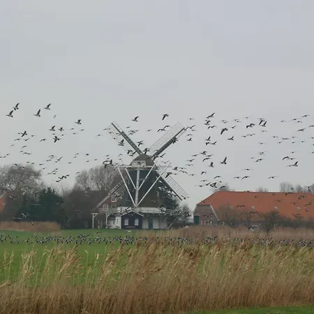 Strand Apartamento Neuharlingersiel